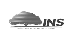 Instituto_Nacional_Seguros